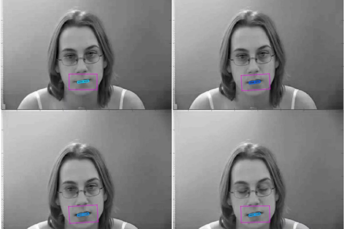 The scientists have already developed a 3D mouth-tracking algorithm