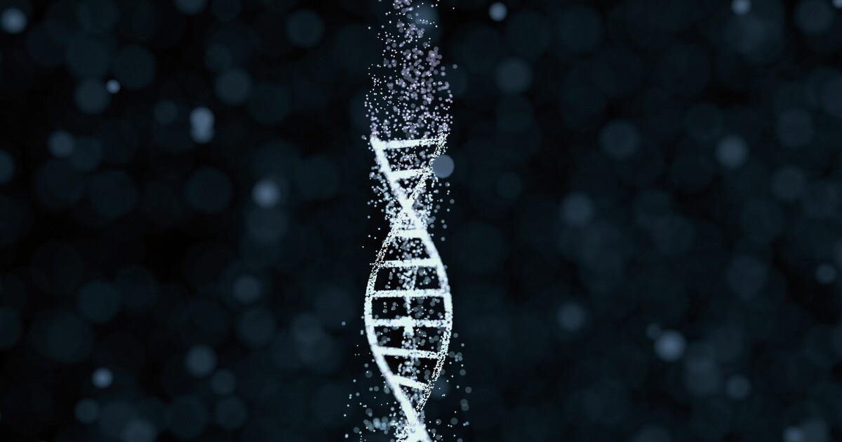 How Father’s COVID Infection Impacts Offspring Anxiety Through Sperm How Father’s COVID Infection Impacts Offspring Anxiety Through Sperm
