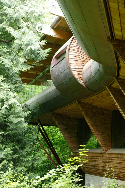 Roy Wilkinson must have the coolest house on the block.