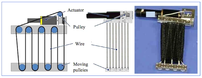 Kenshiro's body contains 160 artificial muscles that work like pulleys
