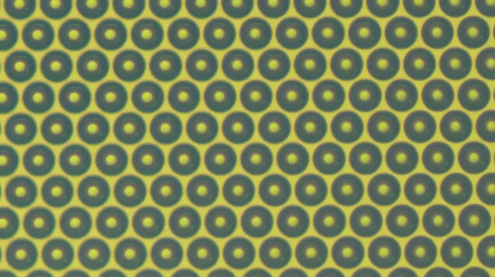 A close-up view of the microlenses making up the biochip array
