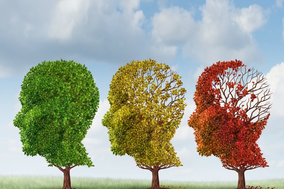 New research has provided "strong hope" of finding a drug to combat Alzheimer’s (Image: Shutterstock)