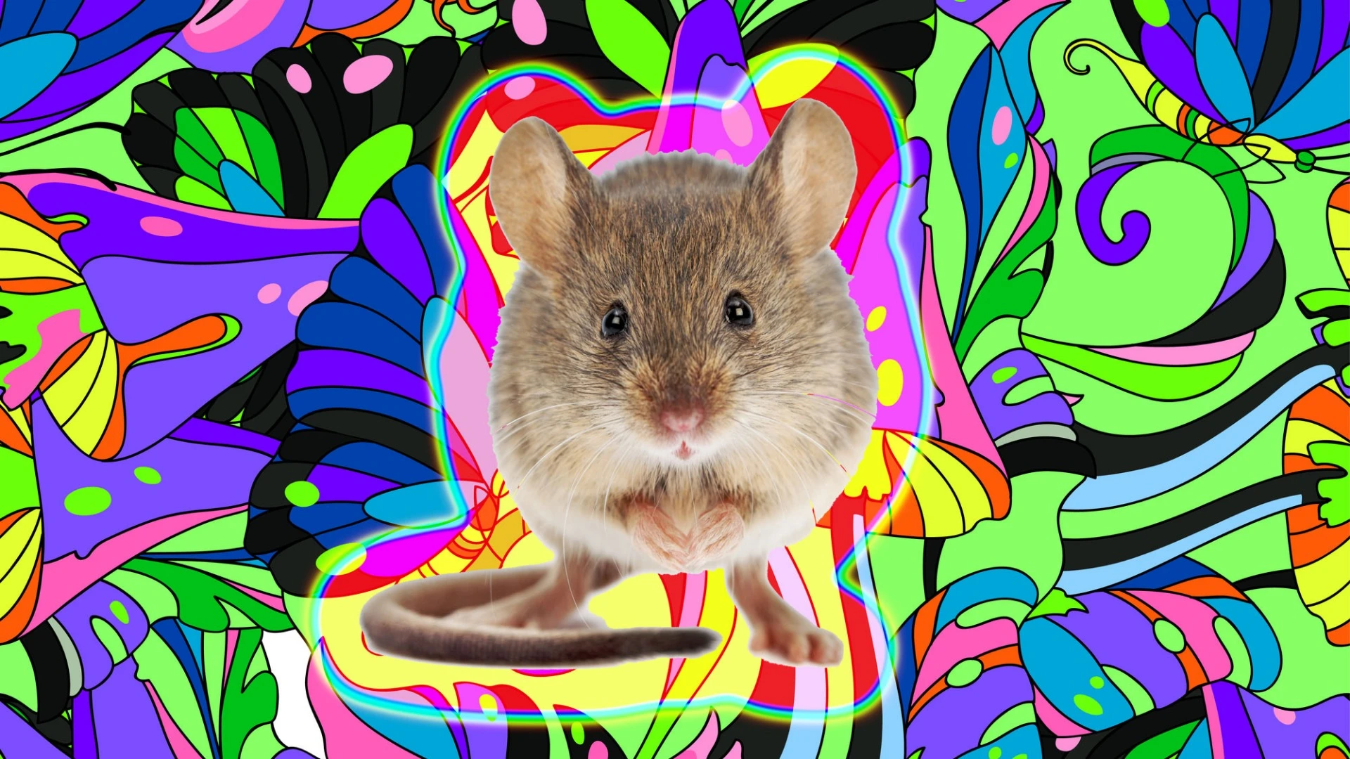 The research offers insight into what happens to our brain when we visually hallucinate (Credit: Background: d-naya. Mouse: icefront /Depositphotos)
