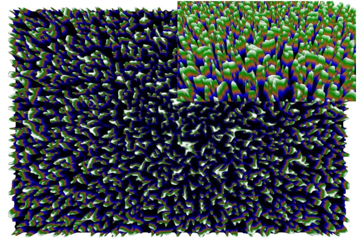 The spiky surface of black silicon shred certain types of bacteria, offering the potential of new antibacterial surfaces