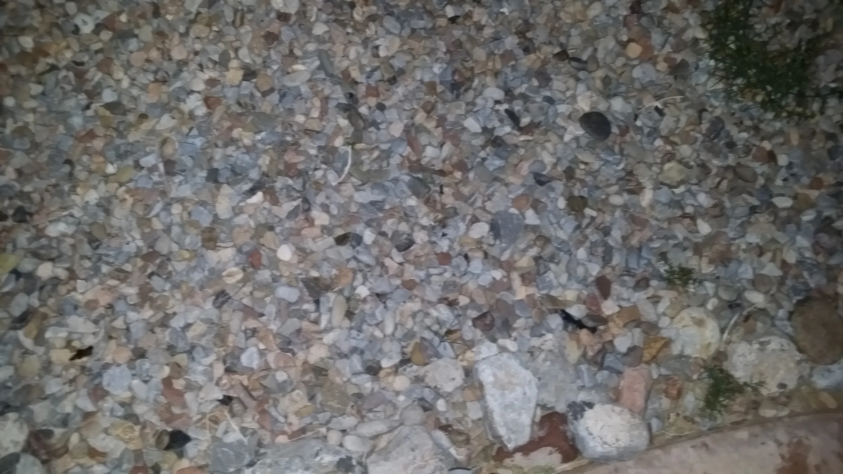 Flash photography taken with the Galaxy Note 3