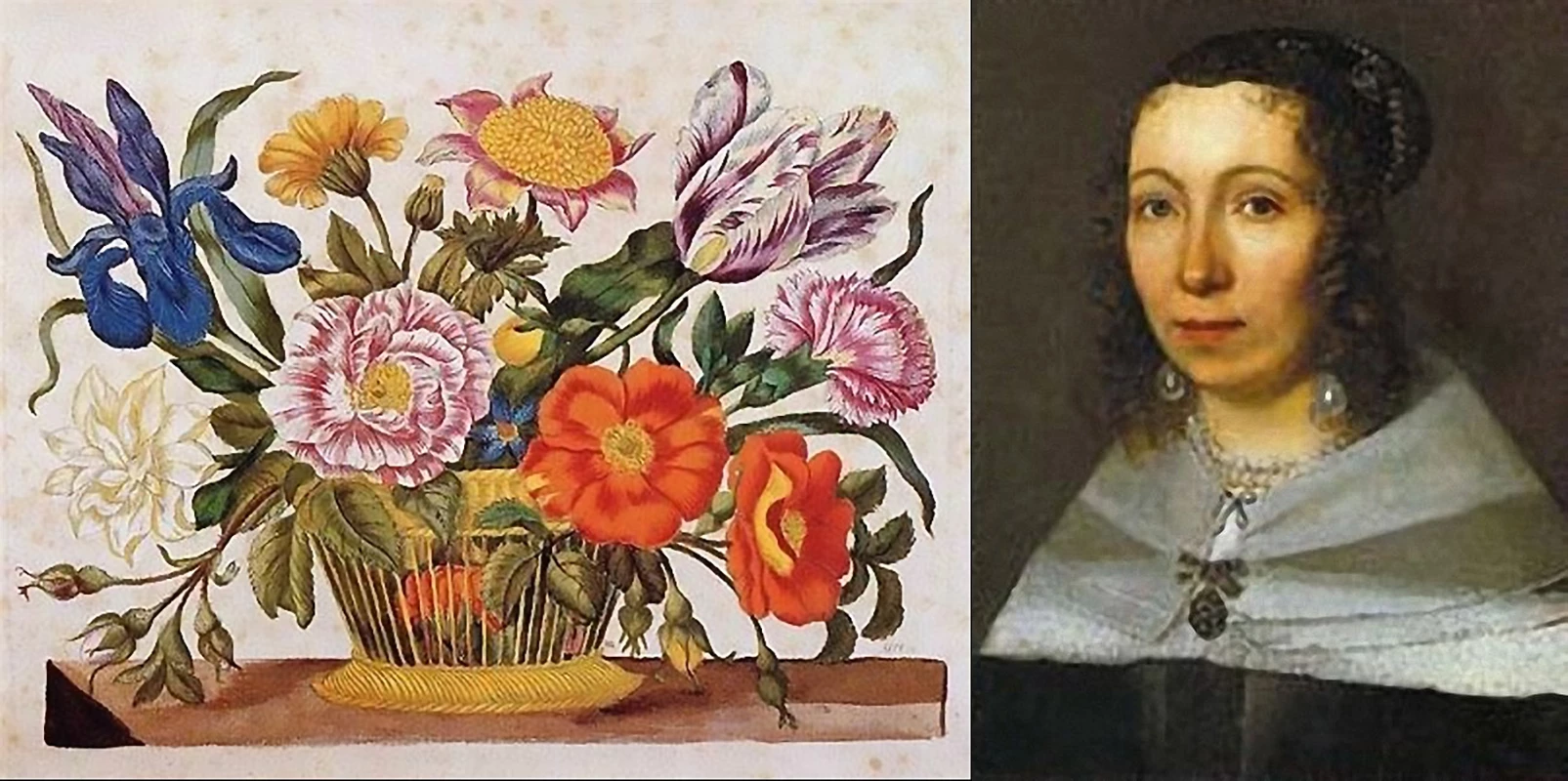 Though Neues Blumenbuch is not the best known work of German-born naturalist and scientific illustrator Maria Sibylla Merian (1647 – 1717), it was her first book (published when she was just 28) of many, and by far the rarest. This particular copy is the only extant copy of the three-part first edition, and is believed to have been hand-coloured by Merian herself, making it a genuine treasure, which is reflected in the price it fetched. In 1699, Merian traveled to the Dutch colony of Suriname in South America to observe and illustrate new species of insects, becoming arguably the first person in history to undertake an epic journey solely for scientific purposes. Her five-year expedition was cut short after two years when she contracted malaria, but the resultant publication of Metamorphosis Insectorum Surinamensium upon her return to Amsterdam became a foundation for the science of entomology. Like the other female on this top 50 list (Émilie du Châtelet), Maria Sibylla Merian overcame the many seemingly insurmountable gender-bias obstacles of the era to make an immense contribution to science. She worked in watercolors, for example, because oil paints were unavailable to women. Indeed, Merian was not at first recognised for her work, having been "discovered" for her contributions to botany and zoology several centuries after her death and she is now regarded as one of history's greatest female scientists. She was the first published woman naturalist but died a pauper. Peter the Great of Russia was the first to recognise Merian's work and he purchased many of her watercolours which now reside in the Kunstkamera Museum of Anthropology and Ethnography in St Petersburg.