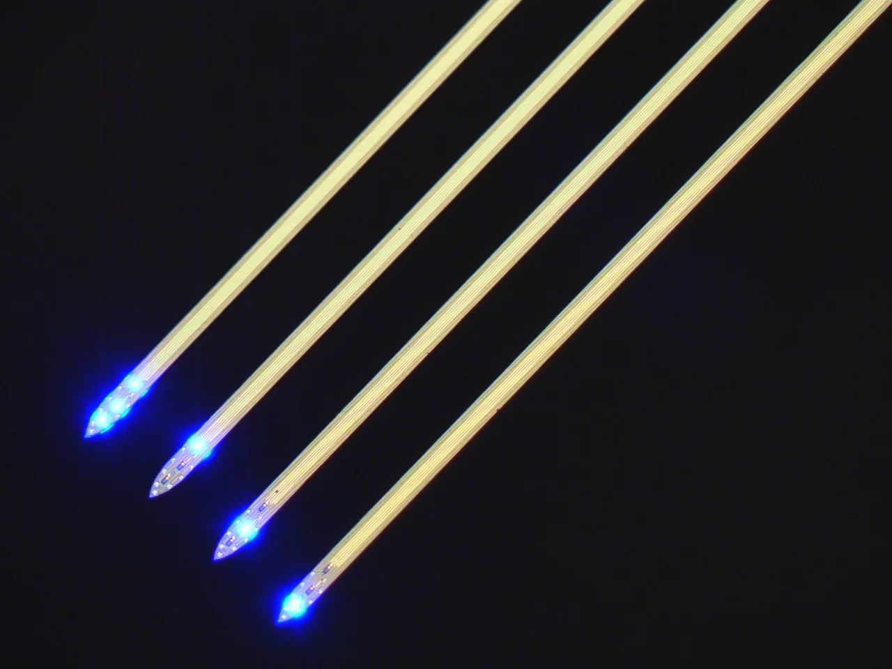 The probes contain 12 LEDs that are no larger than a neuron's cell body, along with 32 electrodes