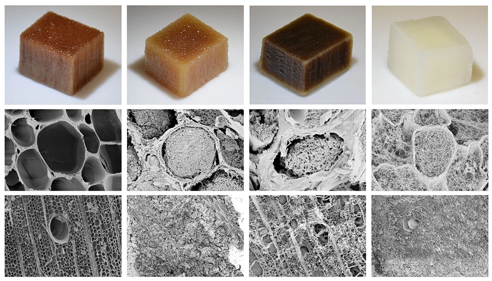 Scientists at KTH Royal Institute of Technology have engineered versions of wood that can produce usable amounts of electricity, with natural version of the material seen on the left