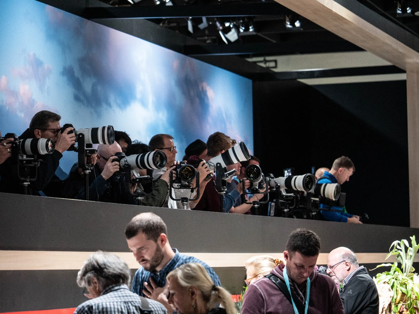 Canon telephoto lens testing gallery