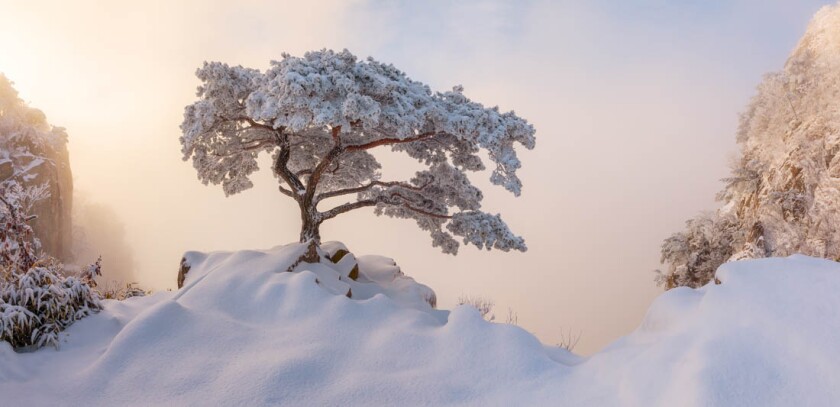 Overall Amateur Prize. Winner, Nature / Landscape. Royal Ceremony, Daedunsan, South Korea