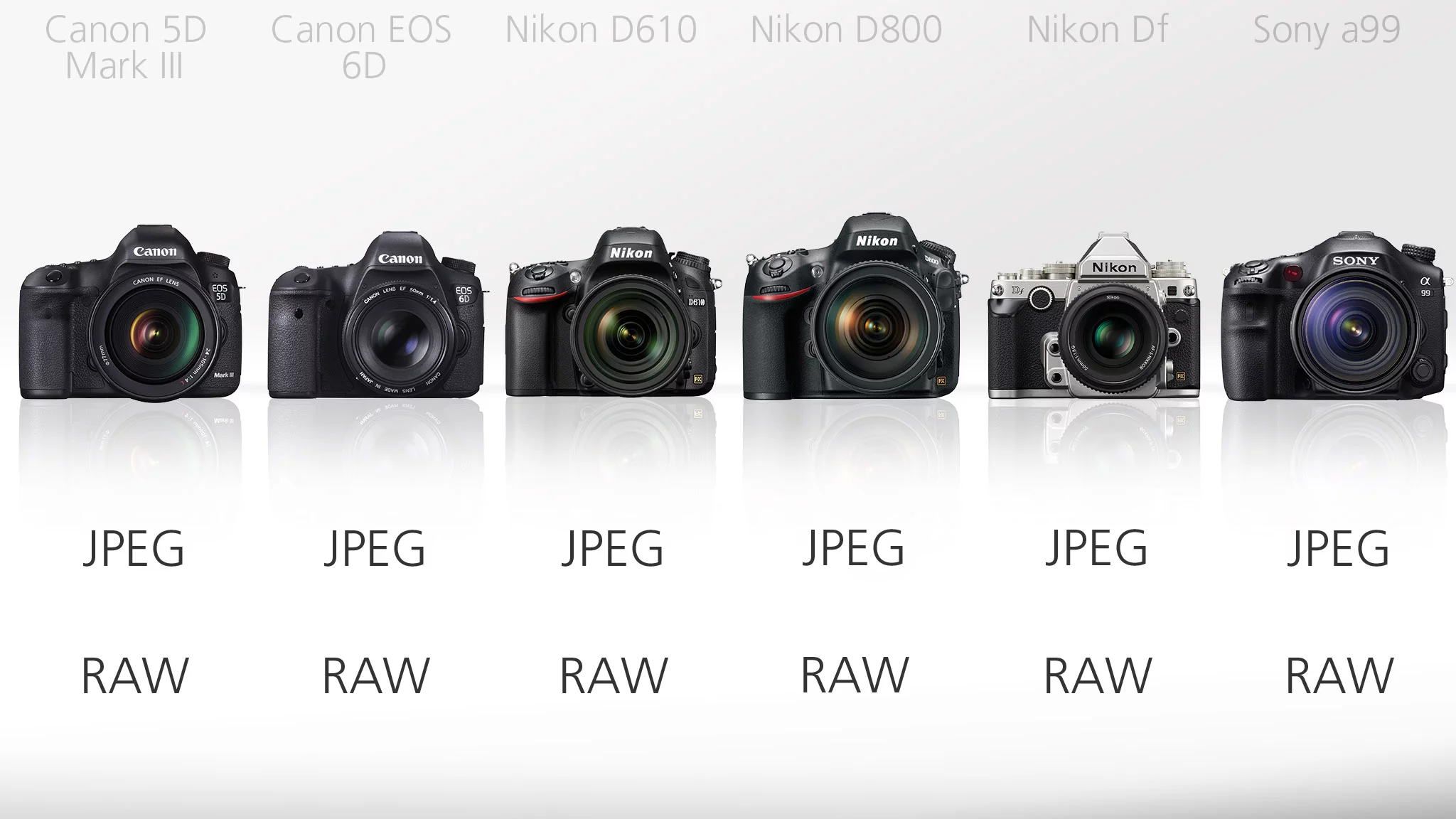 As you would expect from cameras of this calibre, they are all able to shoot JPEG and the RAW files that more demanding photographers insist on