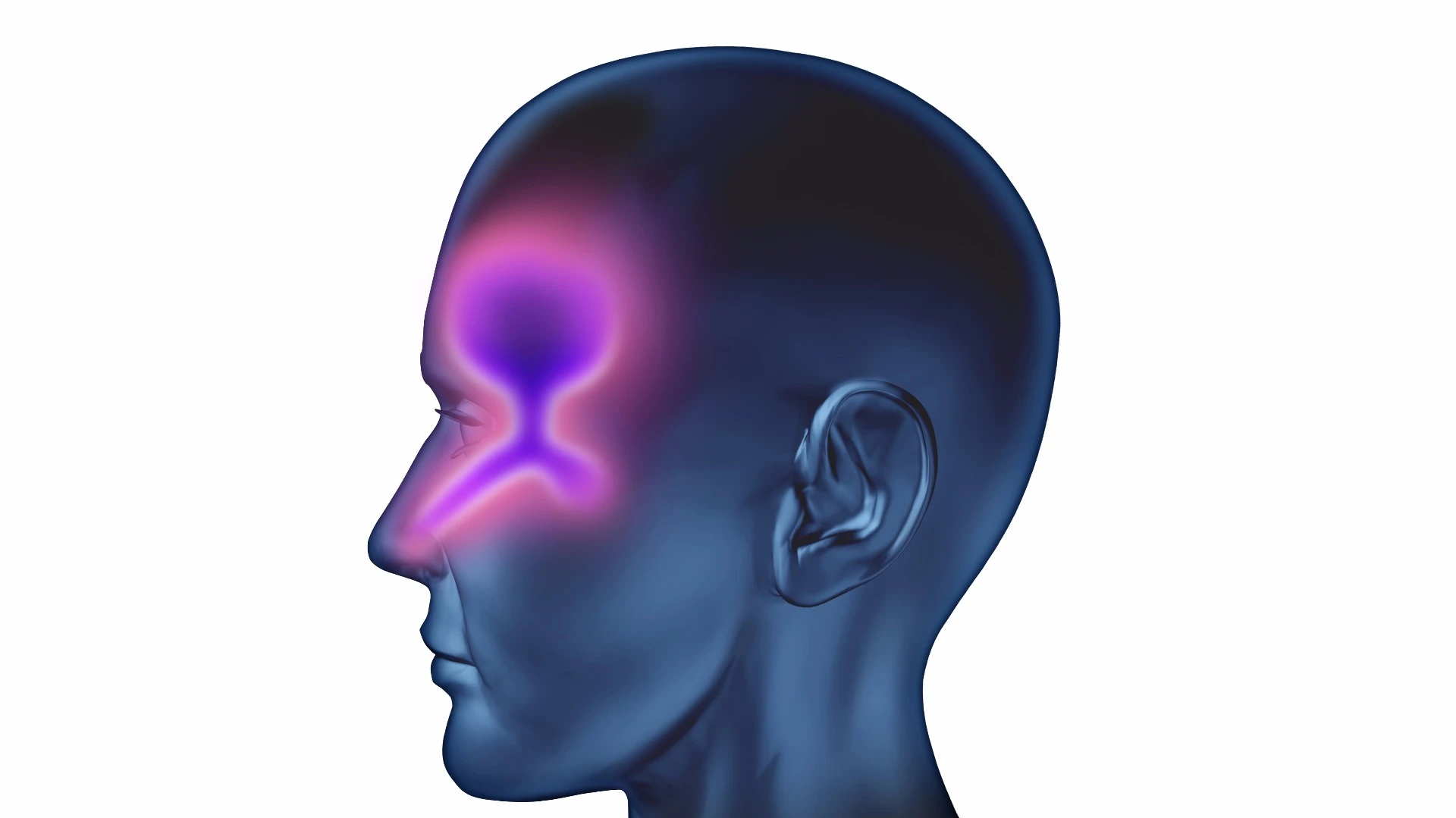 The new drug-delivery method could see medicine reach the brain within 30 minutes to one hour, the researchers say