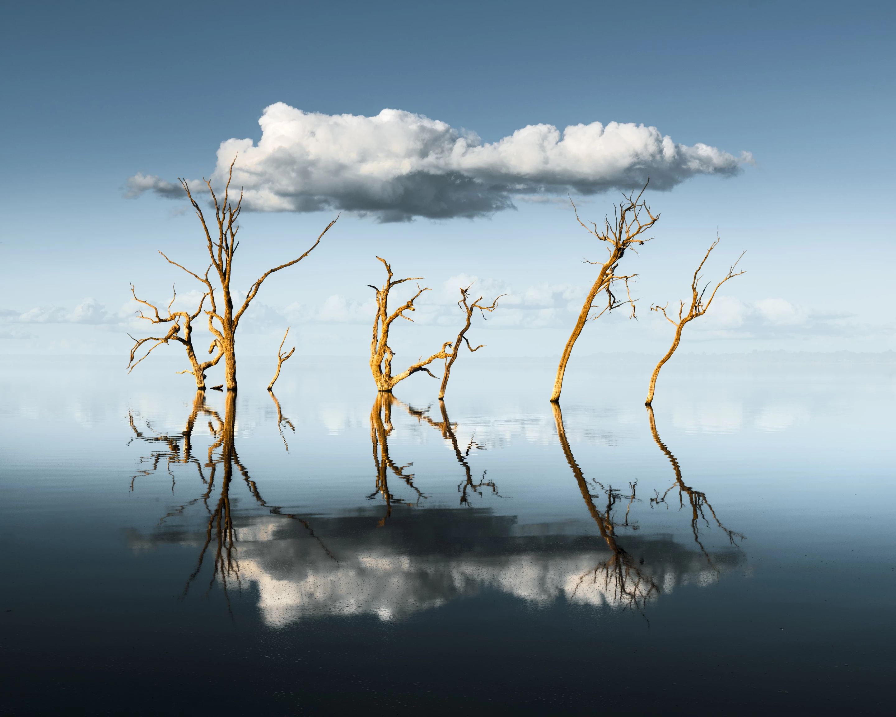 Photograph of the Year - Third Place. Reflector. Lake Bonney, South Australia