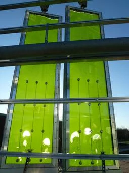 Algae are well suited to this type of bio-fuel production due to their amazing ability to produce up to five times as much biomass per unit area as terrestrial plants (Photo: biq-wilhelmsburg.de)