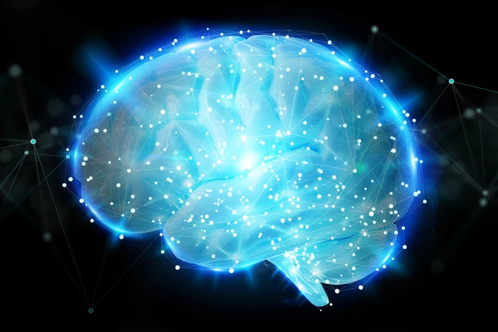 It is hypothesized potential anti-aging therapies could work by suppressing excessive neural activity in a person's senior years