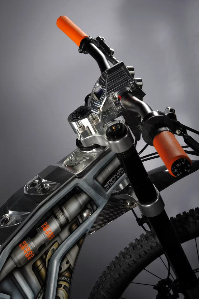 Eye-catching artwork on the Airbrush edition of the M55 Terminus