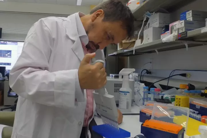 A University of Texas research team has discovered that type 2 diabetes can be induced by a misfolded protein meaning the condition could be similar to certain infectious diseases