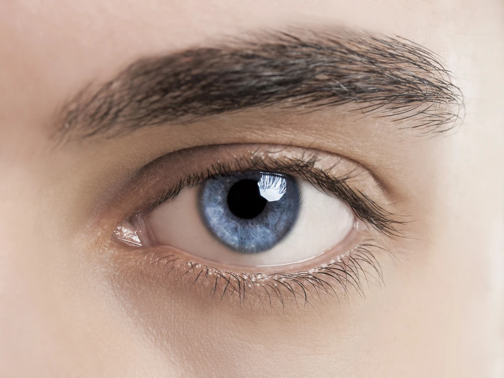 Scientists have created lenses that refract light in the same fashion as the lens in the human eye (Photo: Shutterstock)