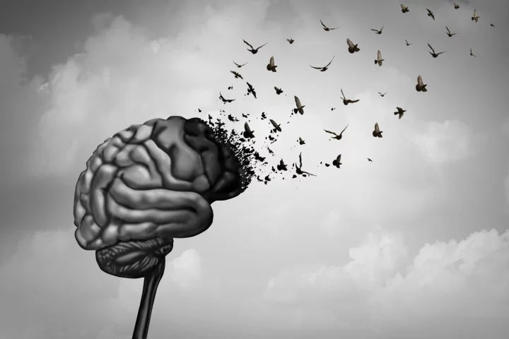 Researchers were able to improve the cognitive function of older mice after blocking a protein's activity on brain cells known as microglia
