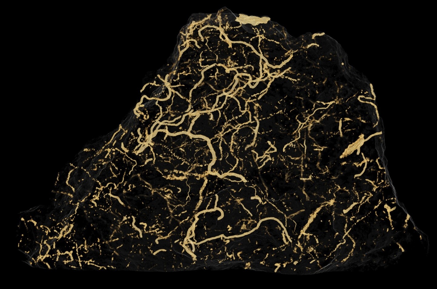Discovered in sediment in Brazil, these trace fossils are made up of tunnels between 50 and 600 microns wide, meaning they were created by a creature about the size of a human hair