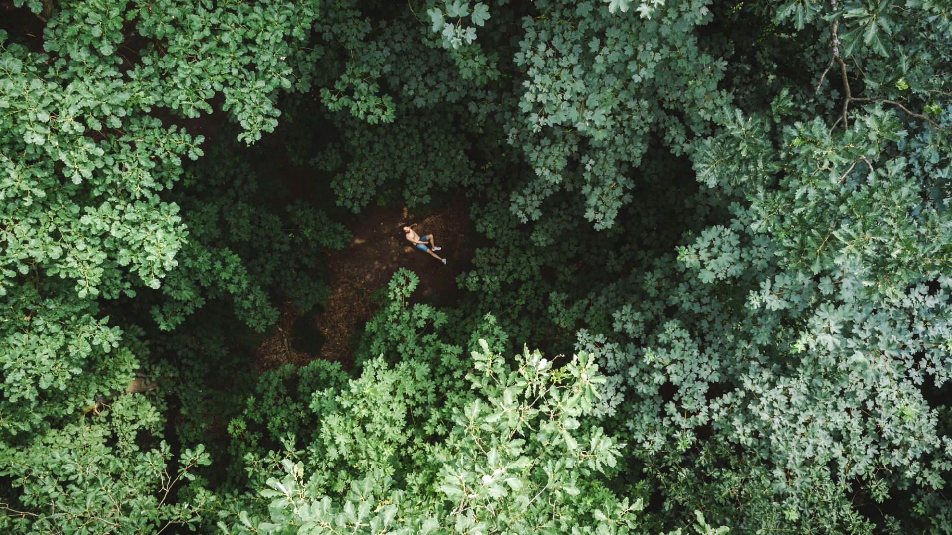 Finalist in The Great Outdoors category of the 2018 EyeEm Awards: Drone portrait in Grunewald, Berlin