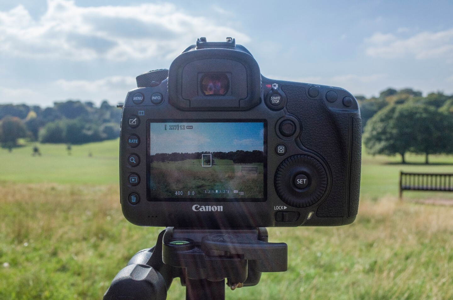 While the Canon 5Ds is aimed at studio and portrait photographers, landscape shooters might be better served by the 5Ds R