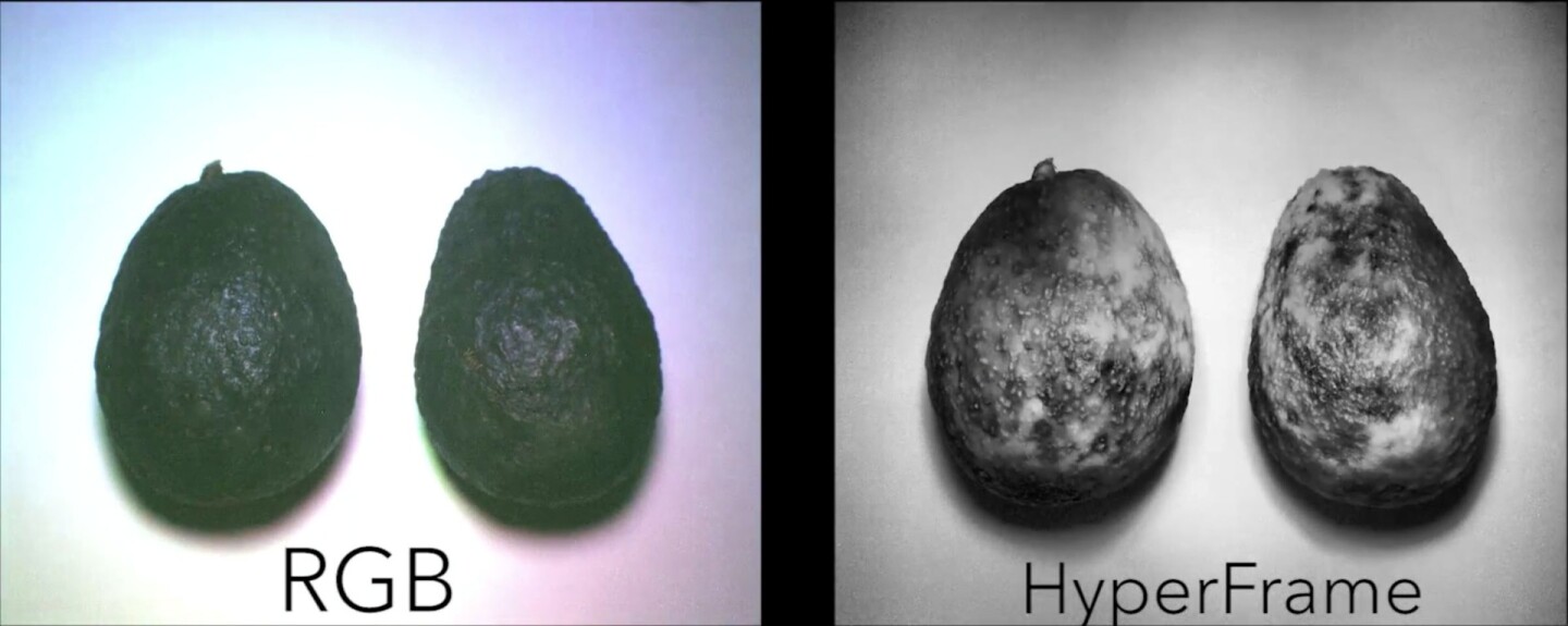 Avocados shot by a regular RGB camera (left) and by the HyperCam, showing their level of ripeness