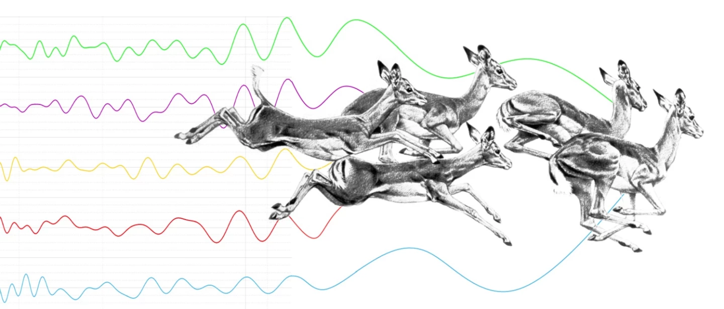 Using artificial intelligence to analyze animal motion could lead to some interesting possibilities for anti-poaching groups