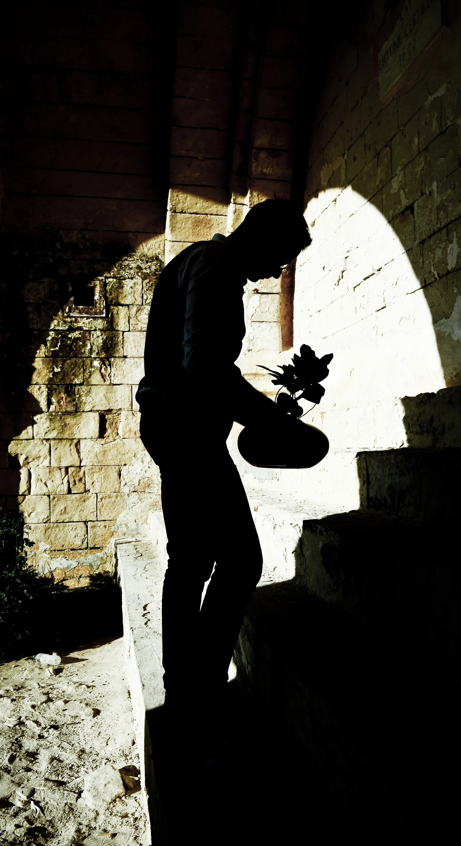 Creator Noel Zahra with the Koishi plant