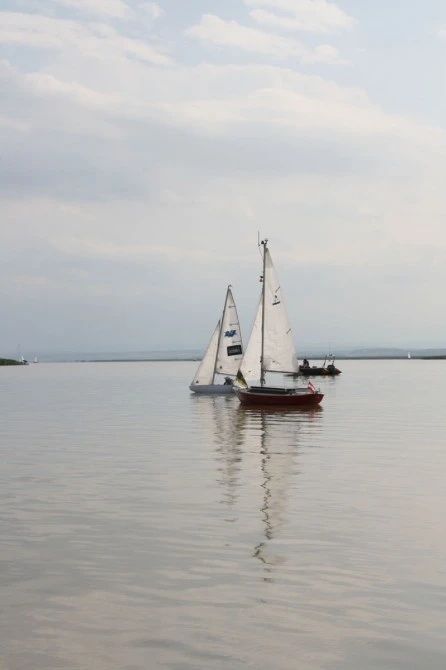The autonomous ASV Roboat