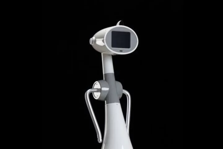 Luna is designed as a personal robot (Image: Robodynamics/Schultzeworks)