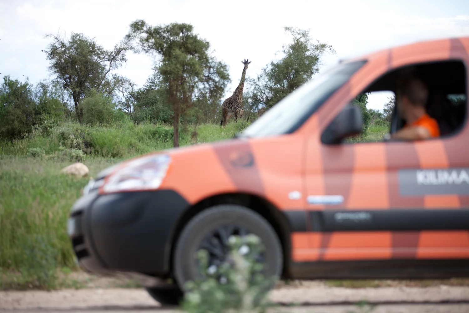 The local wildlife can see the electric vehicle as it passes, but may not be able to hear very much