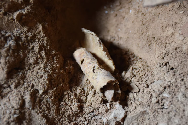 Archaeologists have discovered a 12th cave that once contained unknown Dead Sea Scrolls
