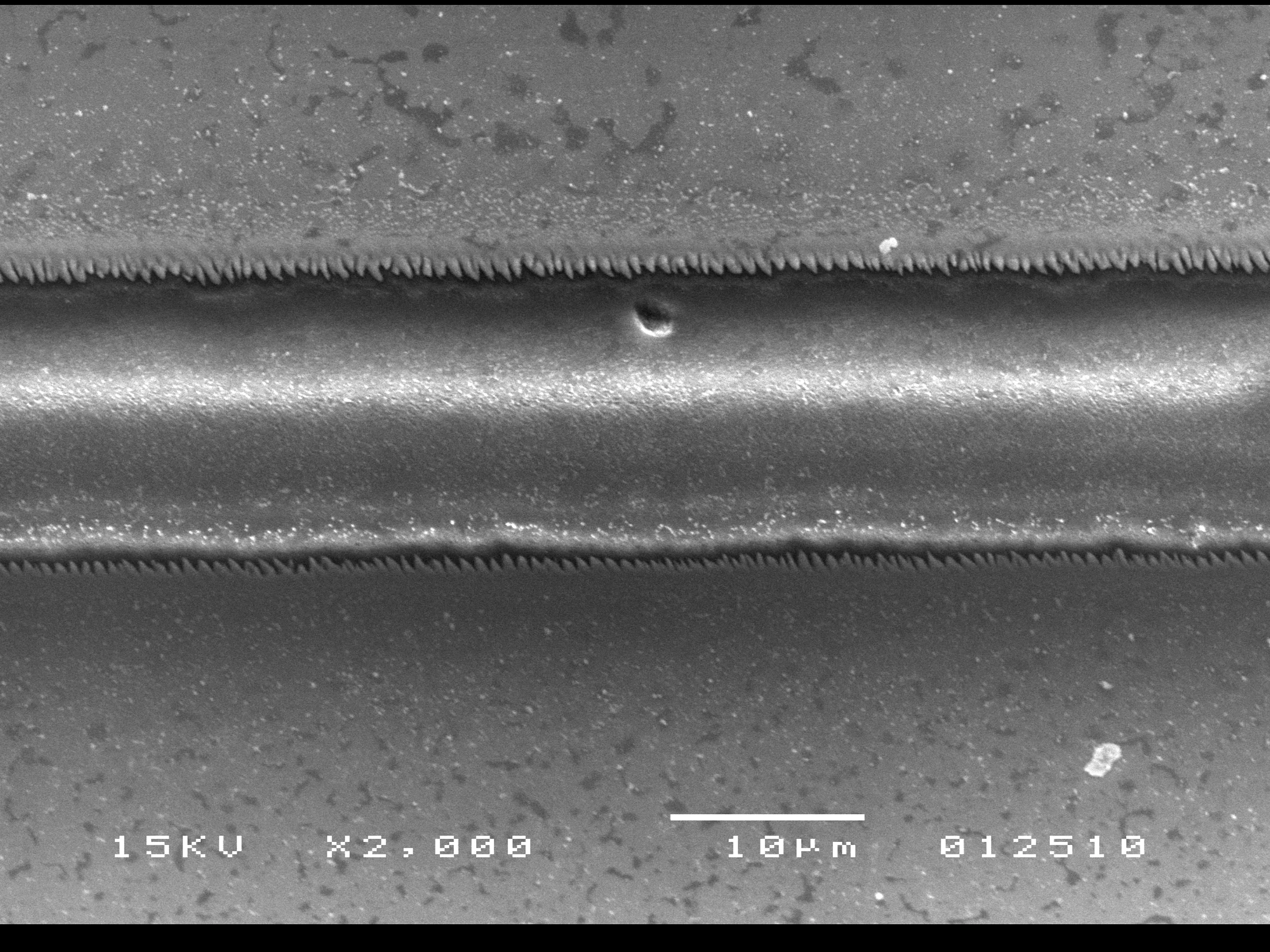 A microchannel created using the laser scribing technique (Photo: Purdue University School of Mechanical Engineering image/Yung Shin)