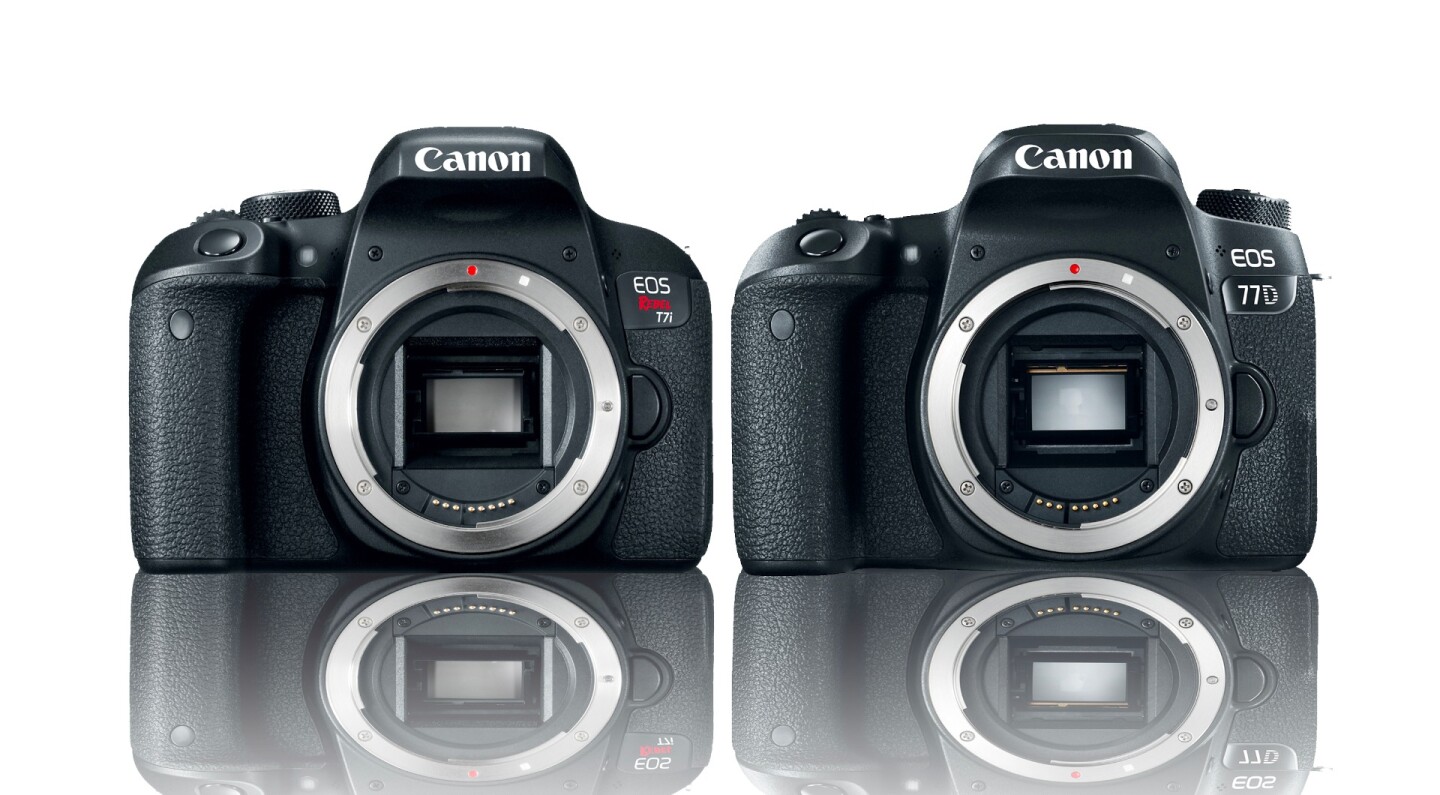 Canon focuses on the midrange with two new DSLRs