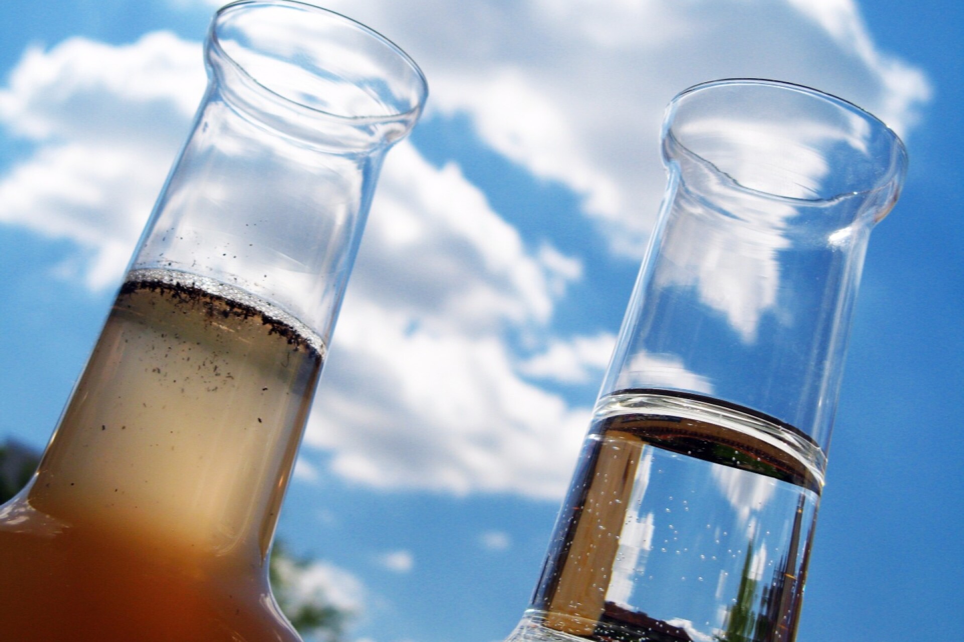 прозрачная среда. прозрачность среды. экологические ресурсы. хромогенные питательные среды микробиология. прозрачность среды.