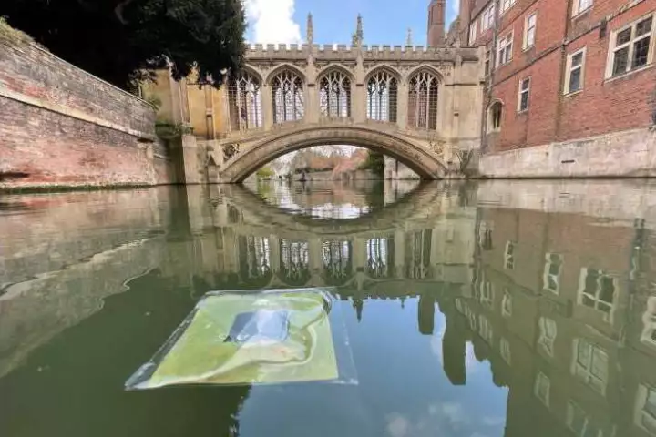 A sample artificial leaf floating on the river Cam near the University of Cambridge
