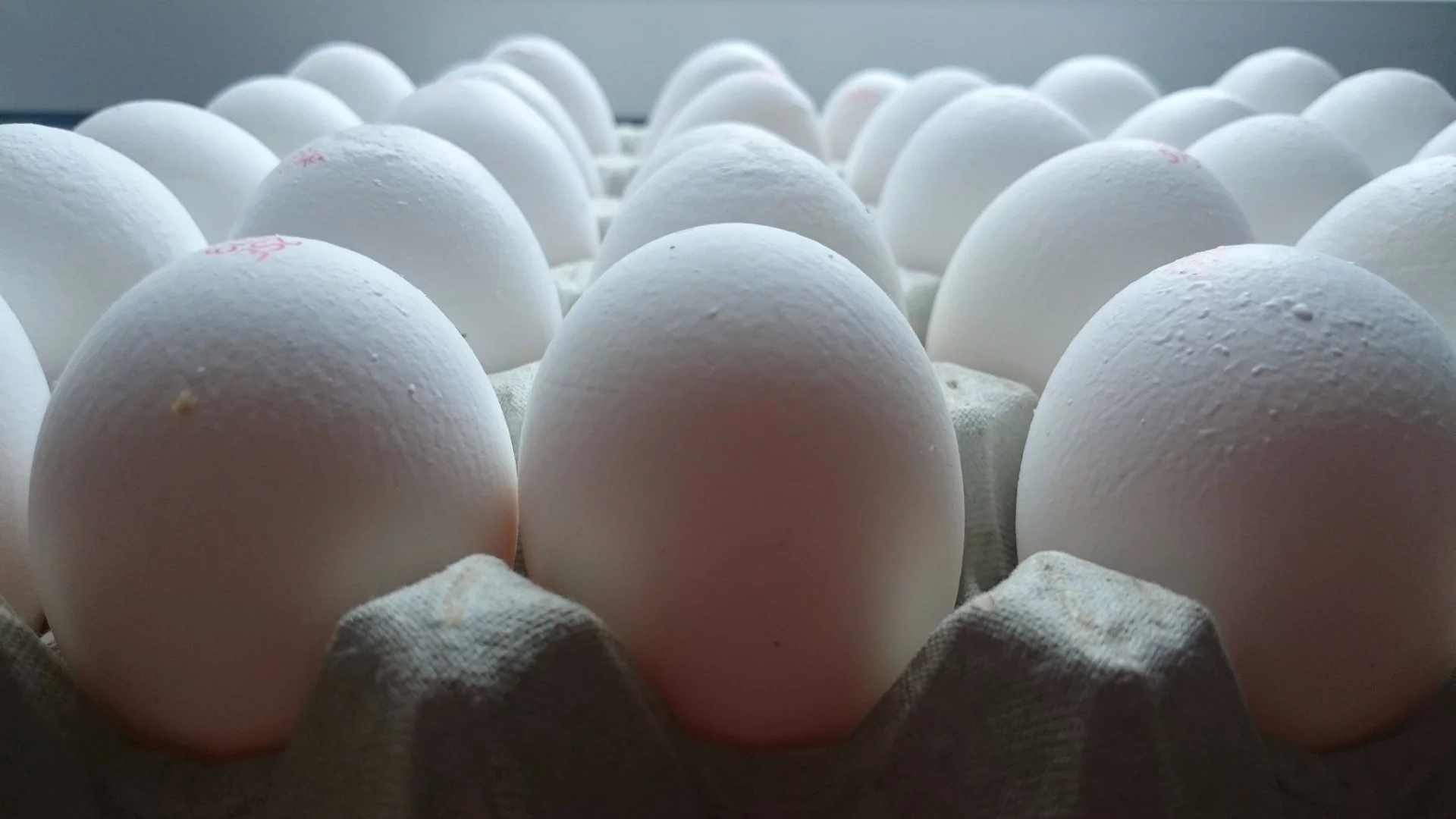 Eggshell nanoparticles have helped create a bioplastic more suited to packaging