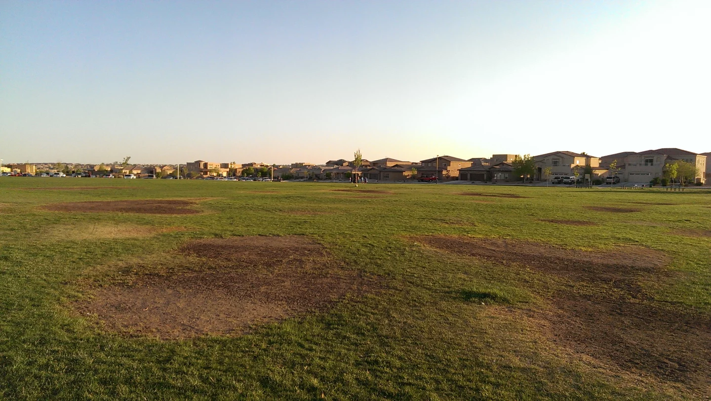 Unedited (but downscaled for the web) sample shot from the One's rear camera