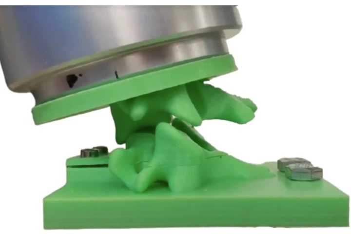 The 3D-printed spinal model utilized in the study
