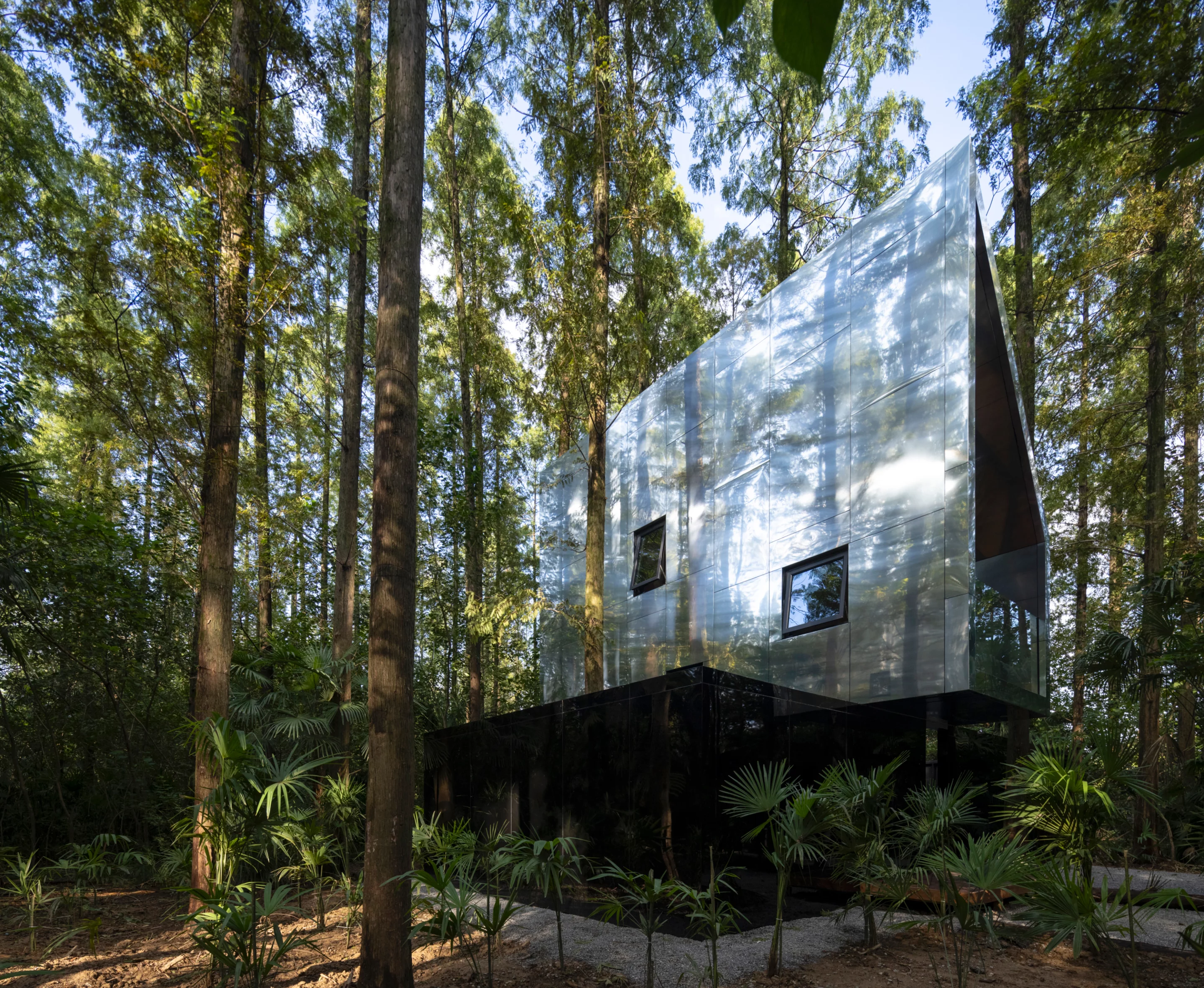 The cabin sits tucked between tall tree trunks for privacy and shade