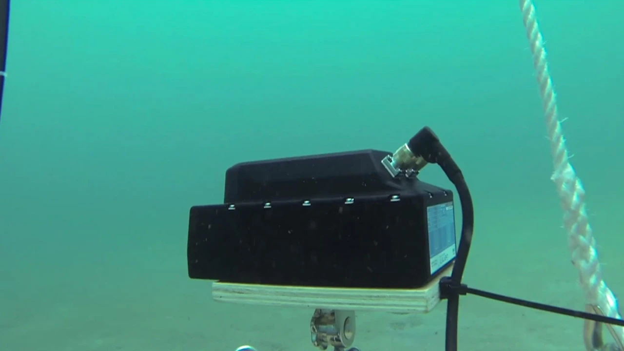 The Clever Buoy's paired sonar-emitting box