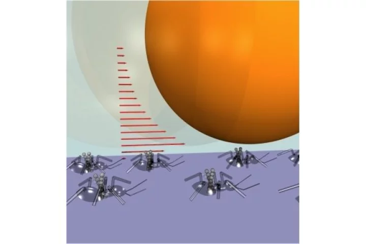 A software-controlled system devised by an international team of researchers can transport tiny particles in a microchip. (Photo: Charles Sing)