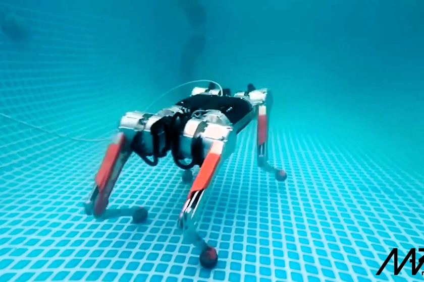 Check it Out: Brave Robodog Takes a Stroll Underwater From fire-breathers to sprinters, climbers, and gymnasts, we