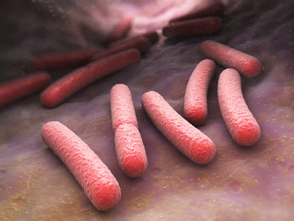Bacteria such E. coli might prefer the nanofiber mesh over living tissue, moving into one from the other