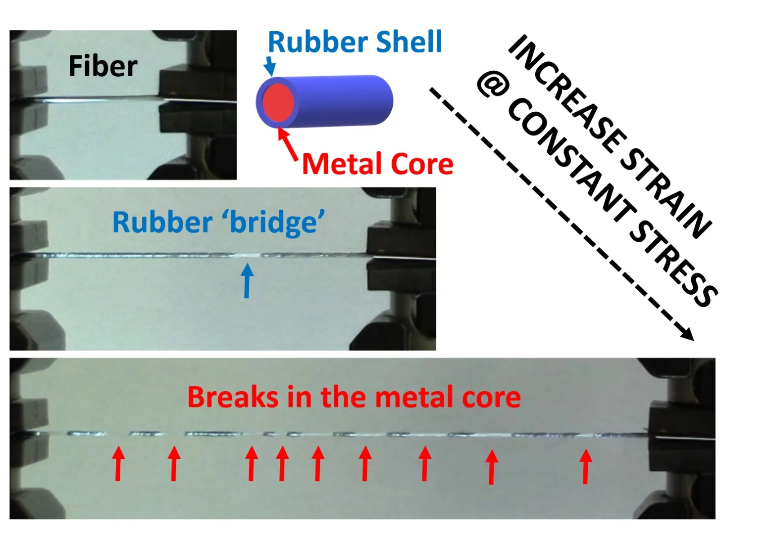 Once the fiber's core does break, the polymer is still there to stretch, keeping the fiber as a whole from breaking