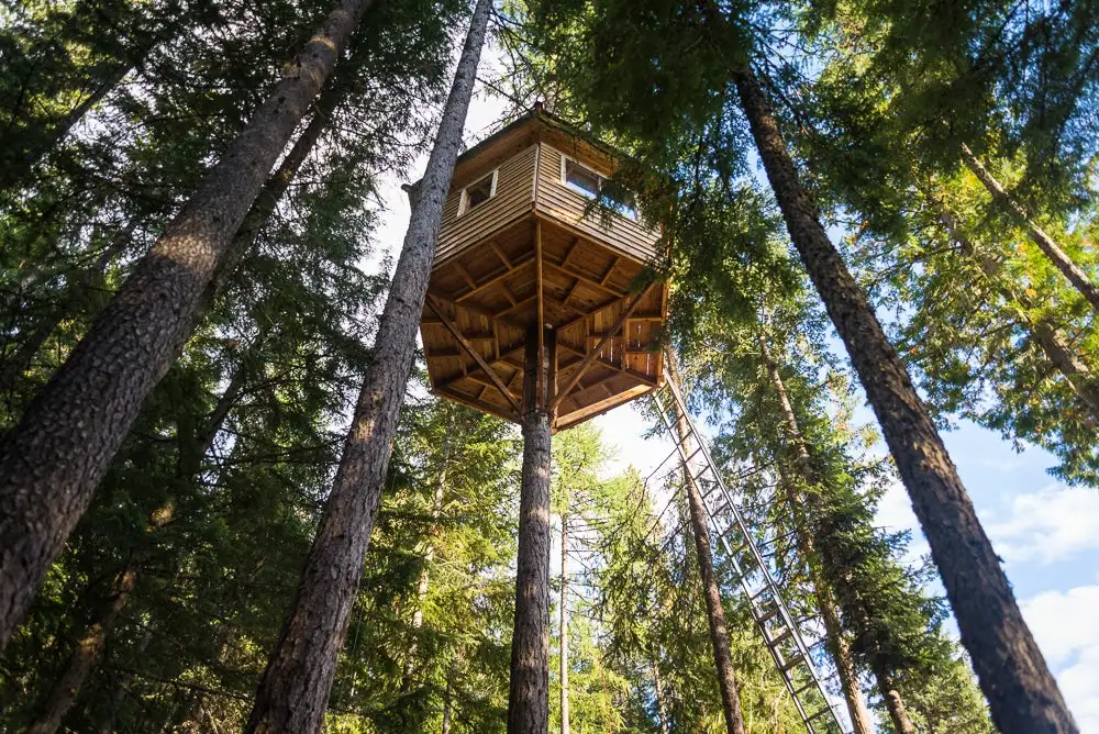 Ethan Schlussler's treehouse is 25 ft (8.5 m) above the ground and features a bicycle elevator