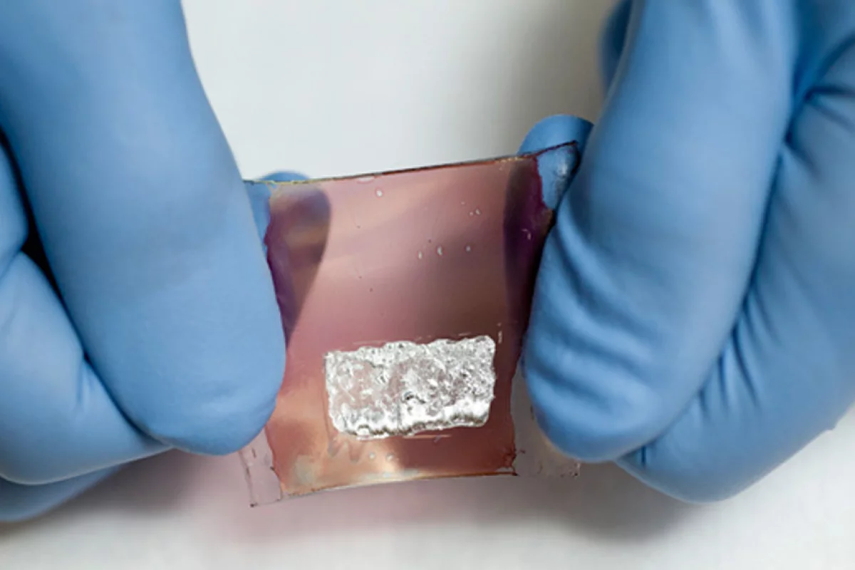 The flexible organic transistor, made with flexible polymers and carbon-based materials, that forms the foundation for the artificial skin (Image: L.A. Cicero)