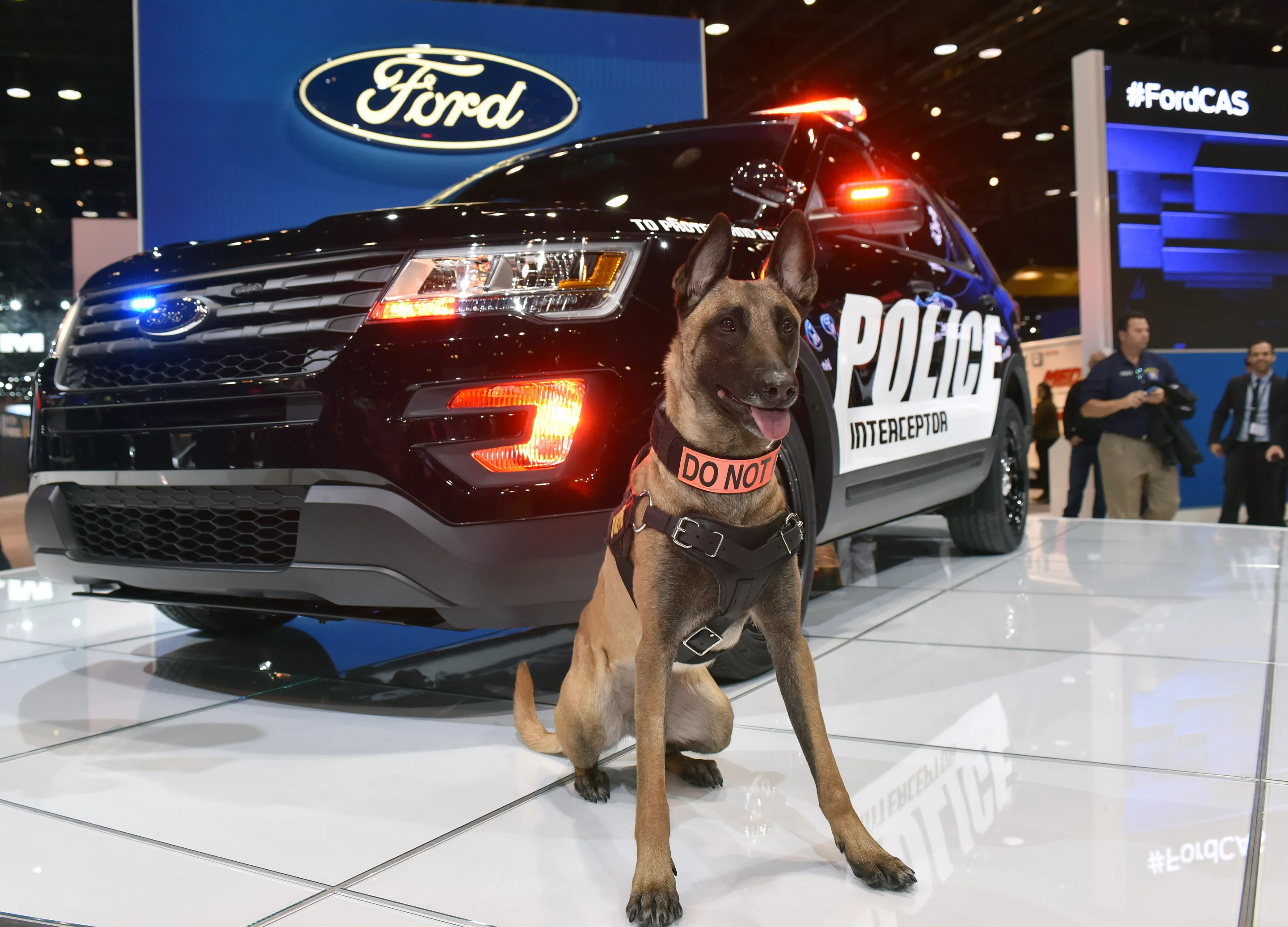 Police dogs aren't a part of the Interceptor package