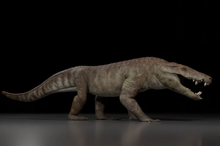 A model of what the scientists believe Kostensuchus atrox looked like